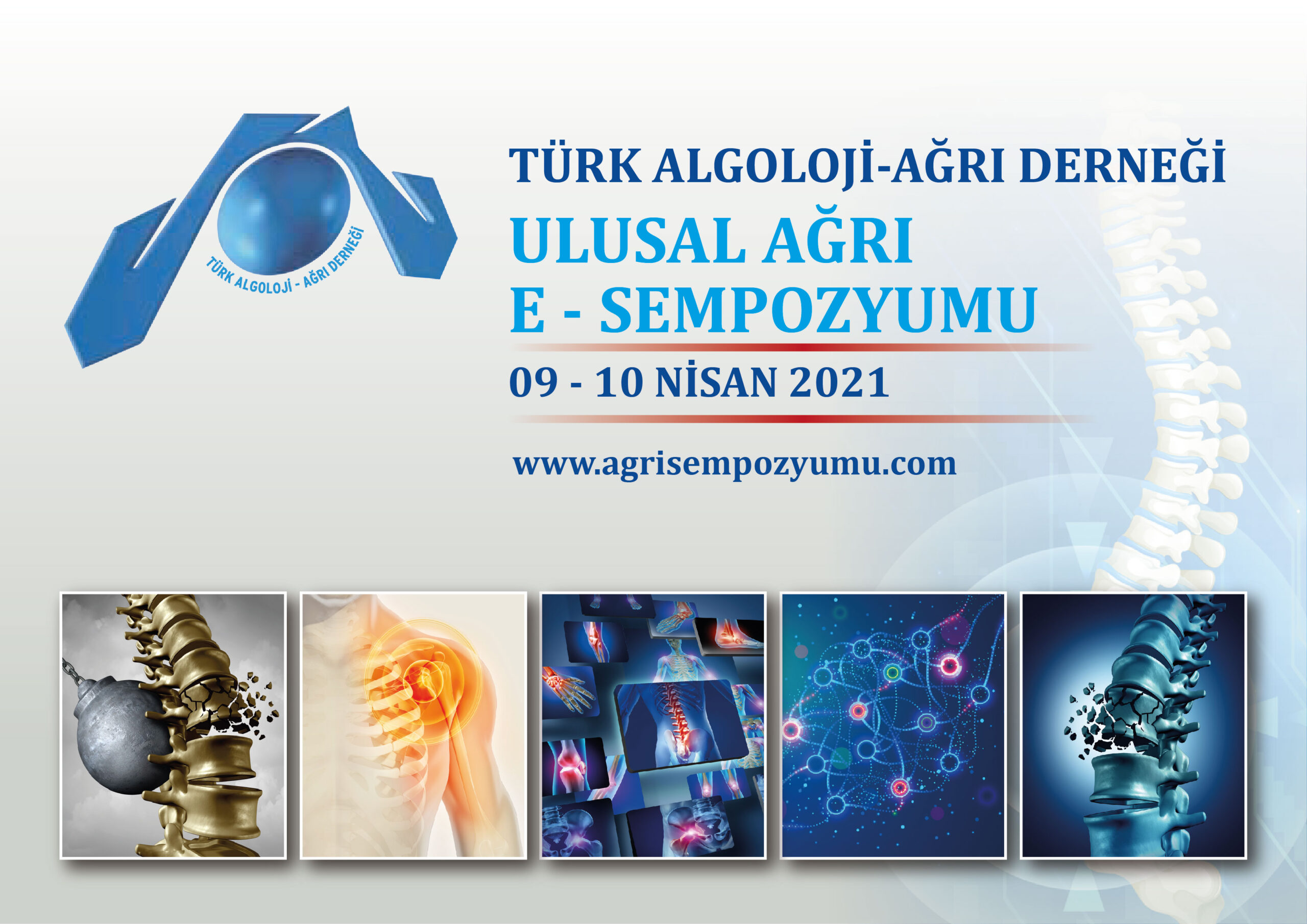 Ulusal Ağrı E-Sempozyumu Bildirisi