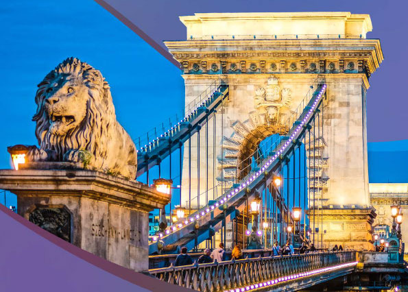 XI World Congress Of World Institute Of Pain