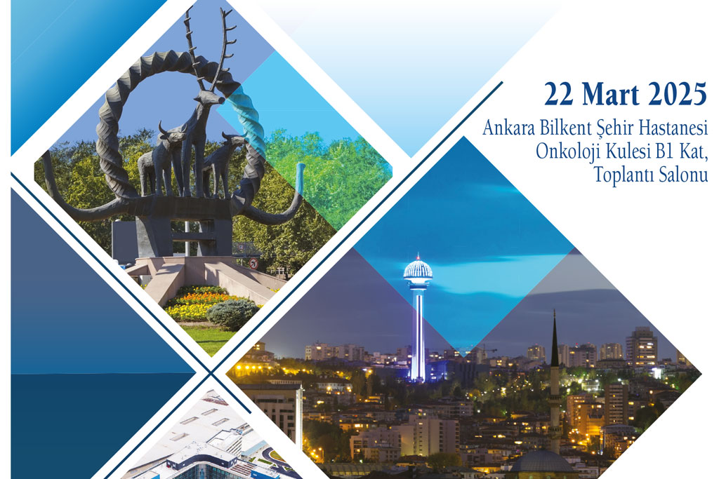 Kanser Ağrısı Çalışma Grubu Toplantısı