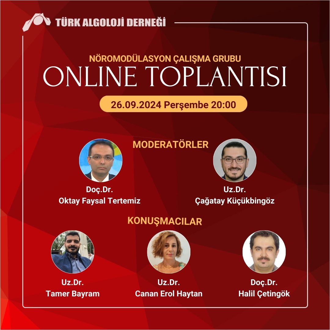 Online Toplantı