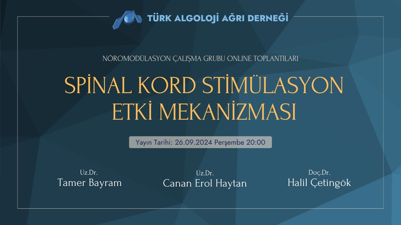 Spinal Kord Stimülasyonu Etki Mekanizması